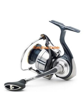 Daiwa 19 CERTATE LT3000 CXH