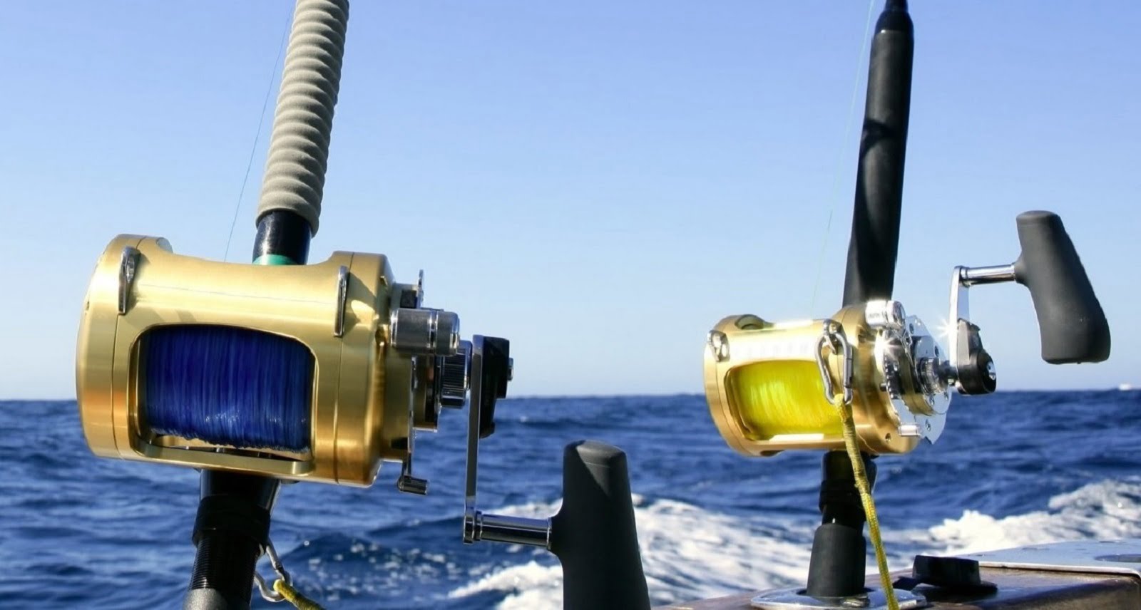 Home - Fishing Reel and Fish Finder Store